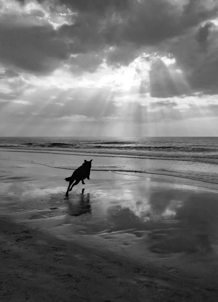 Photograph by Ольга Золототрубова