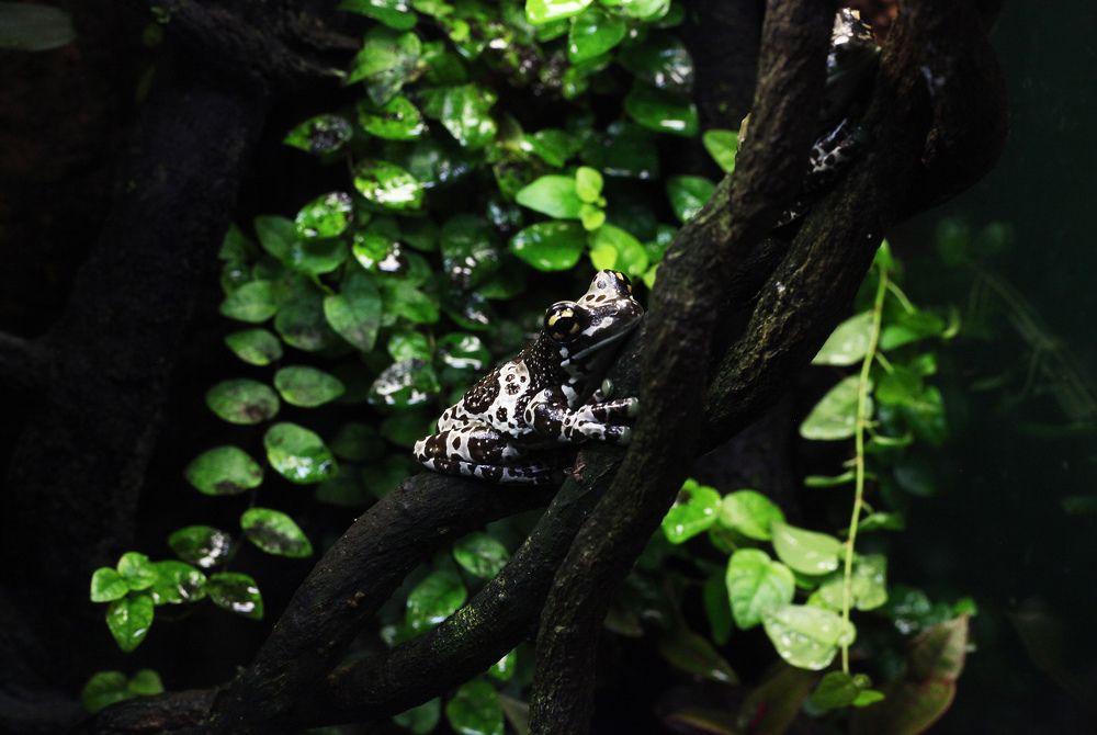 Photograph by Галина