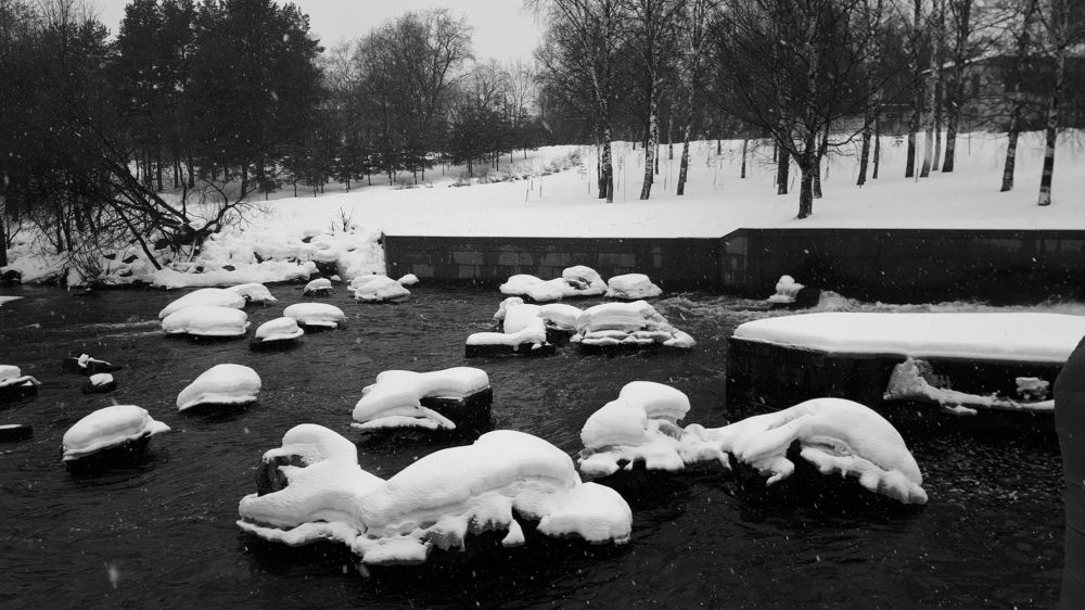 Photograph by Людмила Ковалева