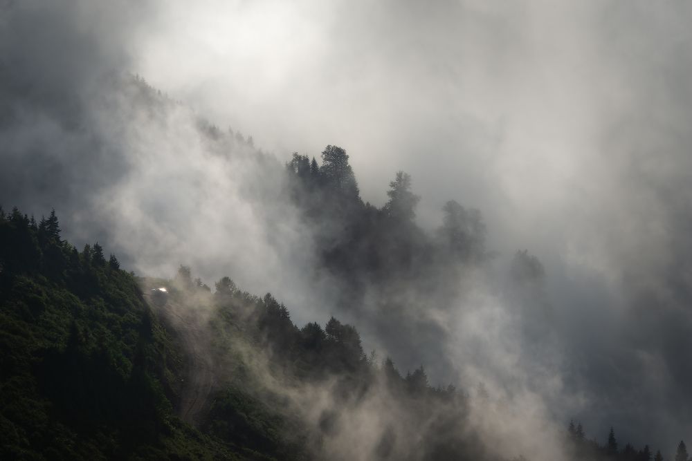 Photograph by Дмитрий Воронцов