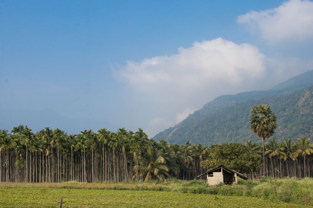 Photograph by Akshita Jain