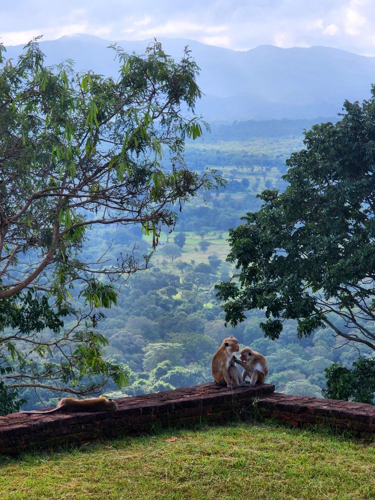 Photograph by Антон Арефьев