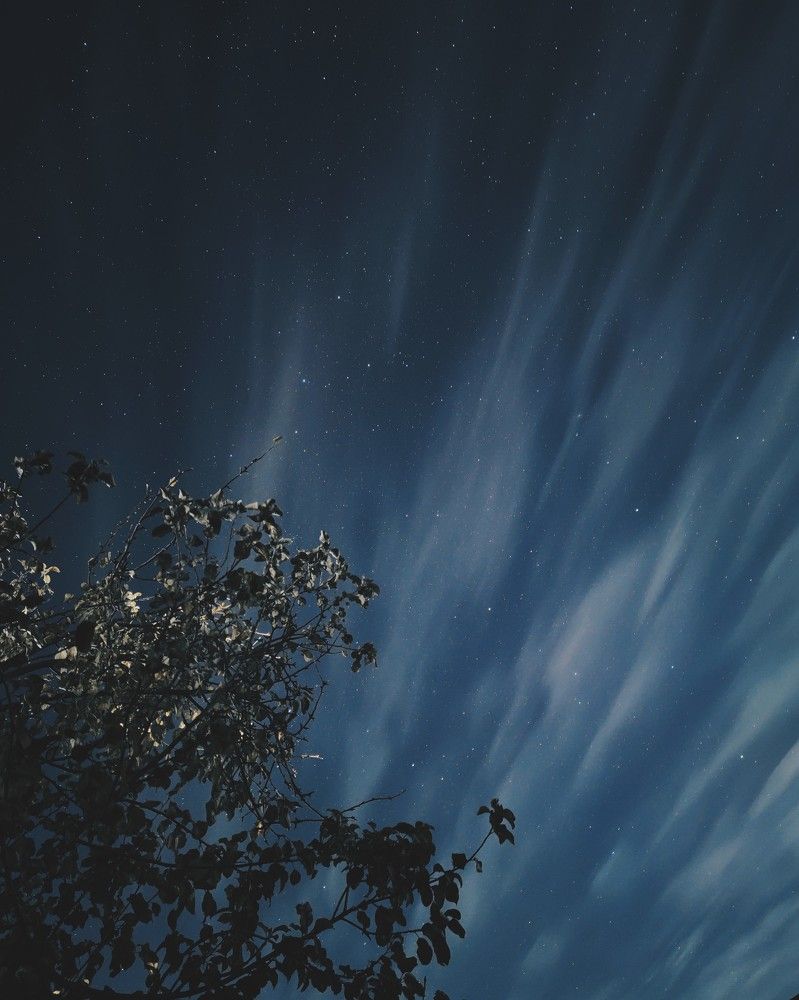 Photograph by Юлия Плаксина