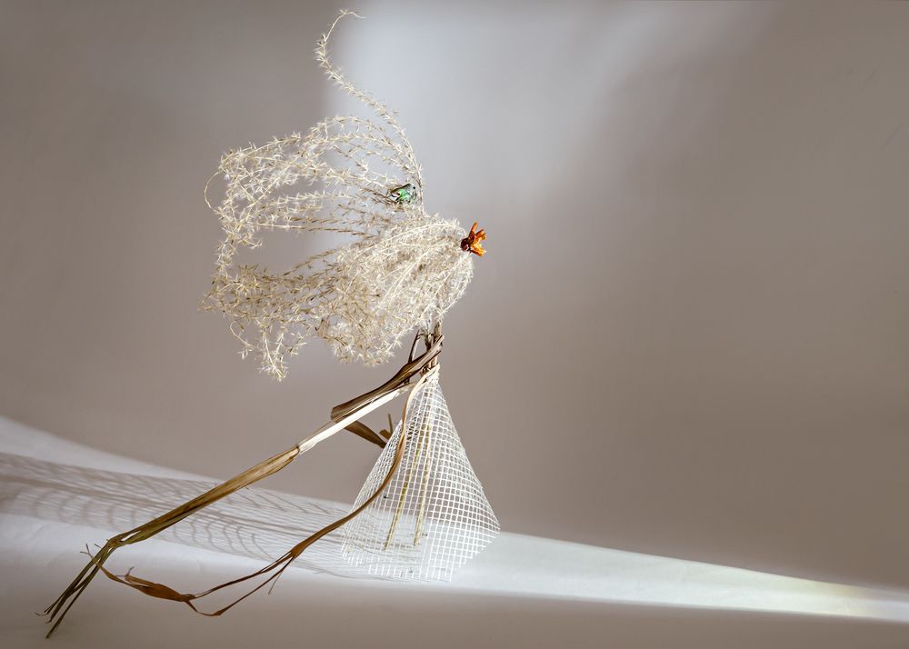 Ветряная дама