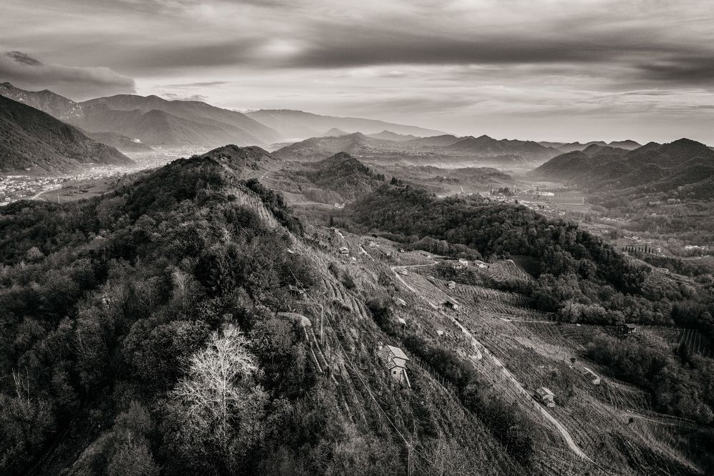 Photograph by Arcangelo Piai