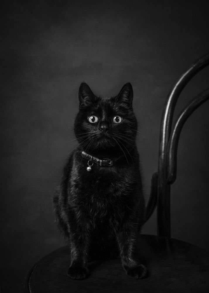 Photograph by Alexandra Whelan