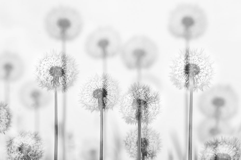 Photograph by Алексей Королев