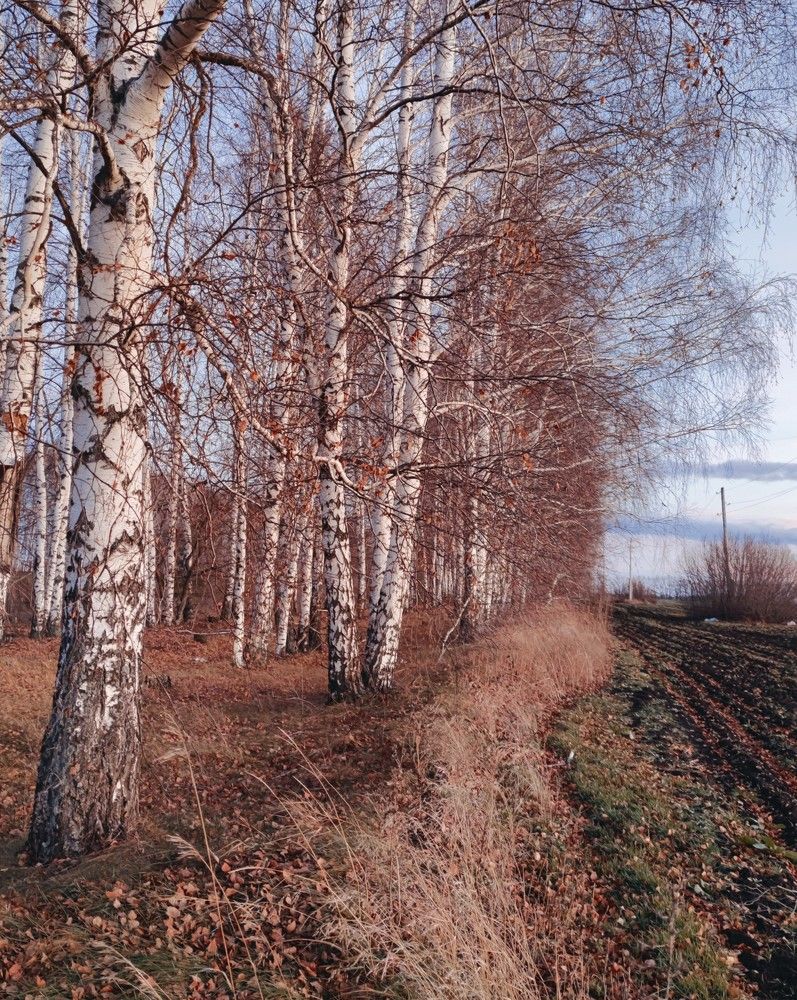 Photograph by Юлия Плаксина