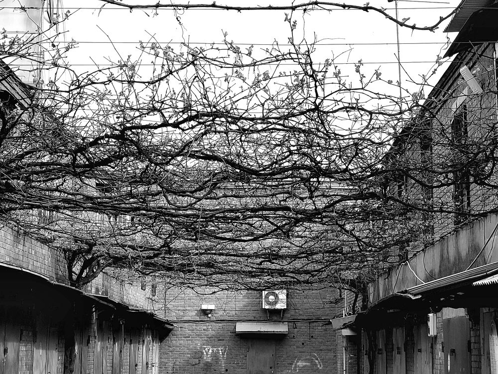 Photograph by Максим Сундеев