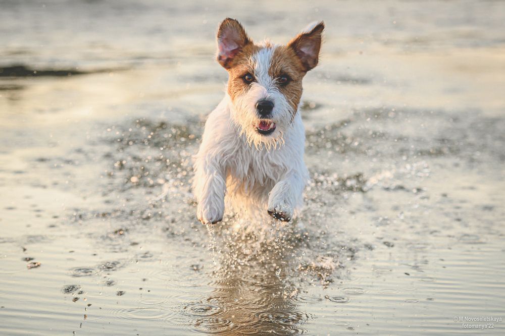 Photograph by Мария Новоселецкая