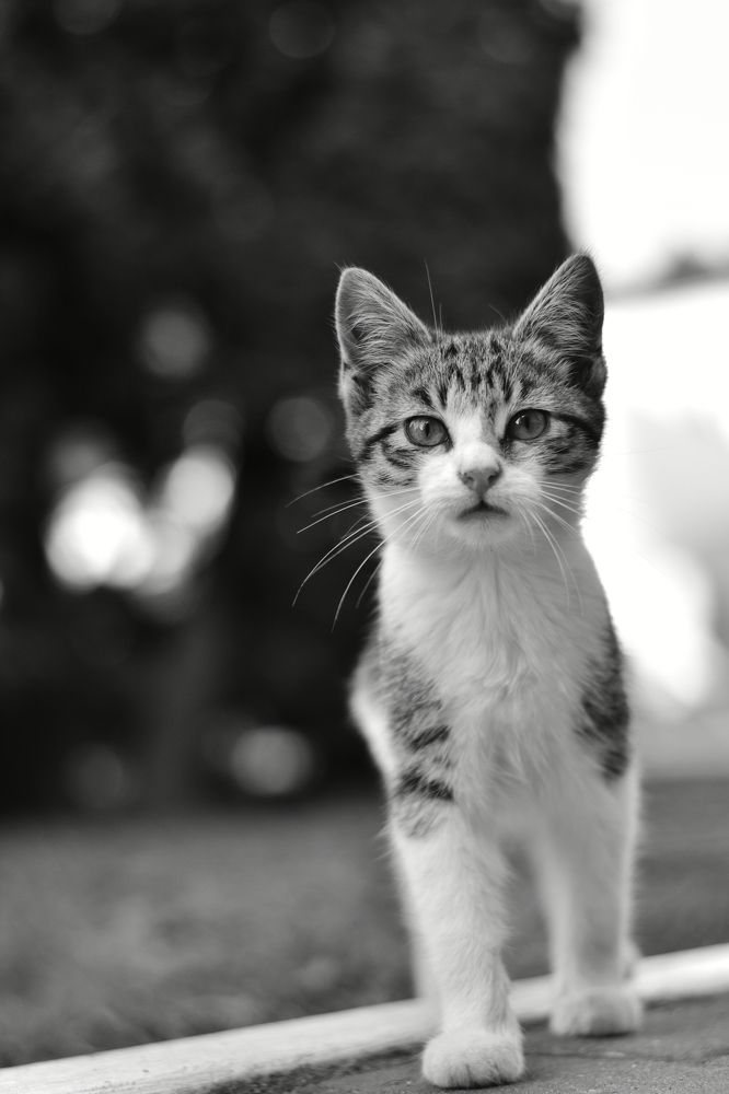 Photograph by Николай Жук