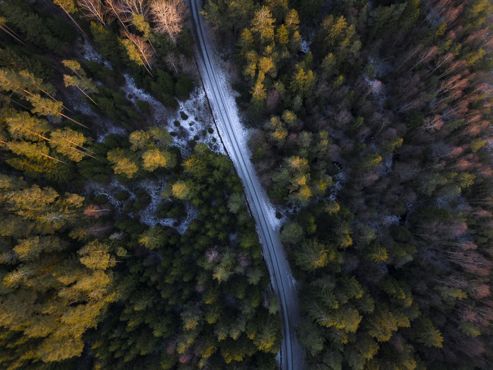 Photograph by Linda Persson