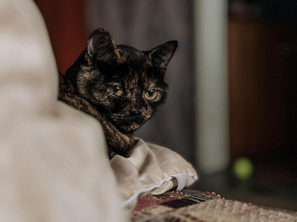 Photograph by Арина Бикчантаева