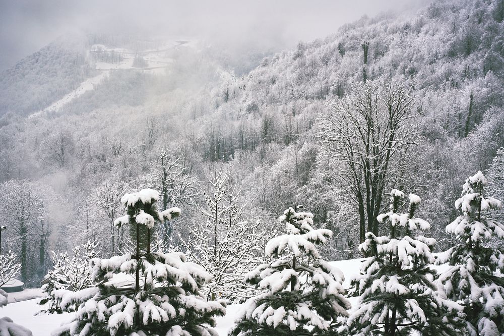 Photograph by Сергей Стукен