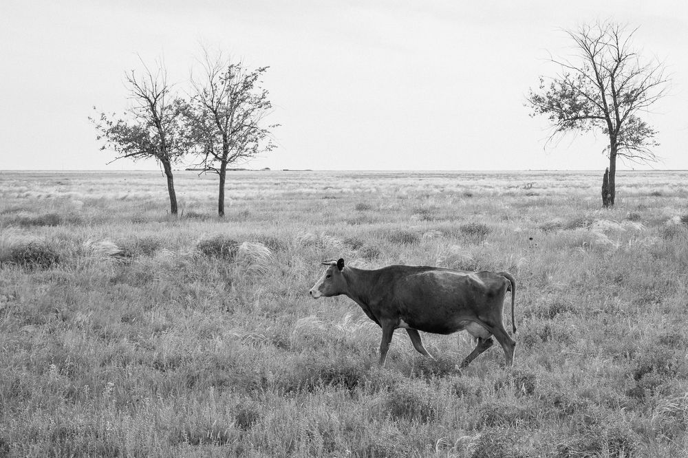 Photograph by Ольга Козлова