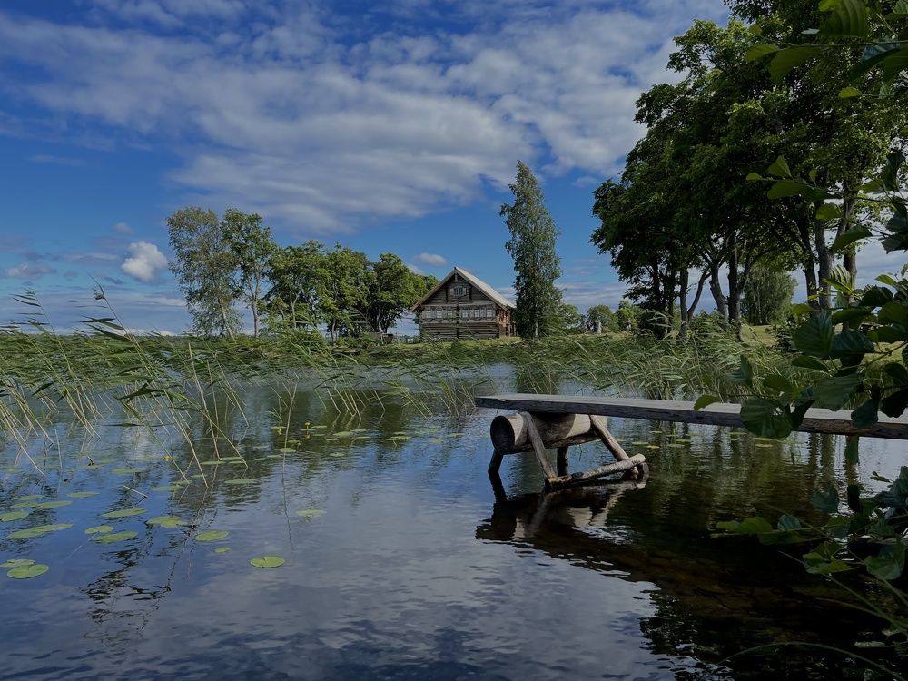 Photograph by Анастасия Шевцова