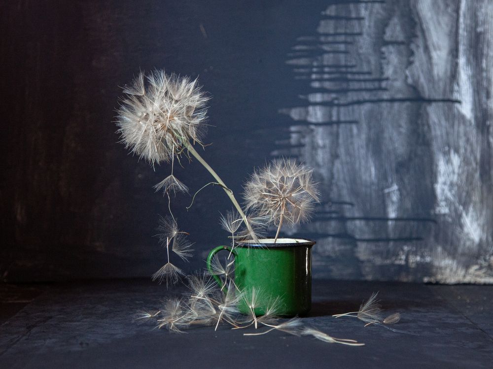 Photograph by Светлана Кавказская