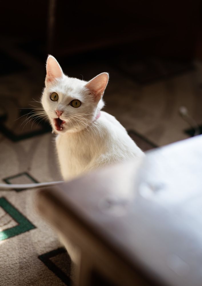 Photograph by Татьяна Лазарева