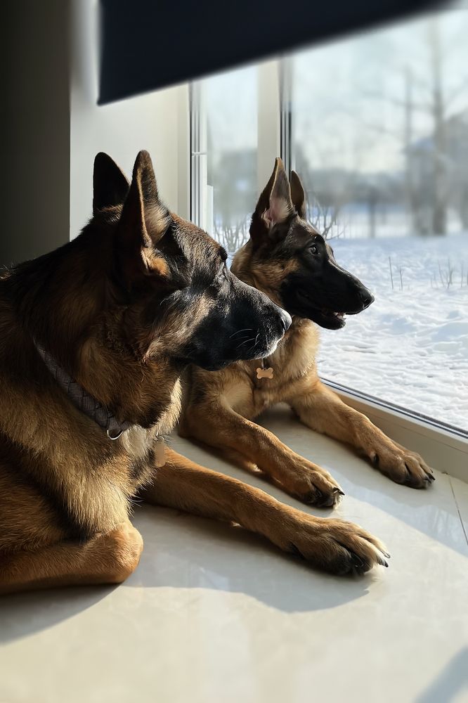 Photograph by Людмила Ефремова