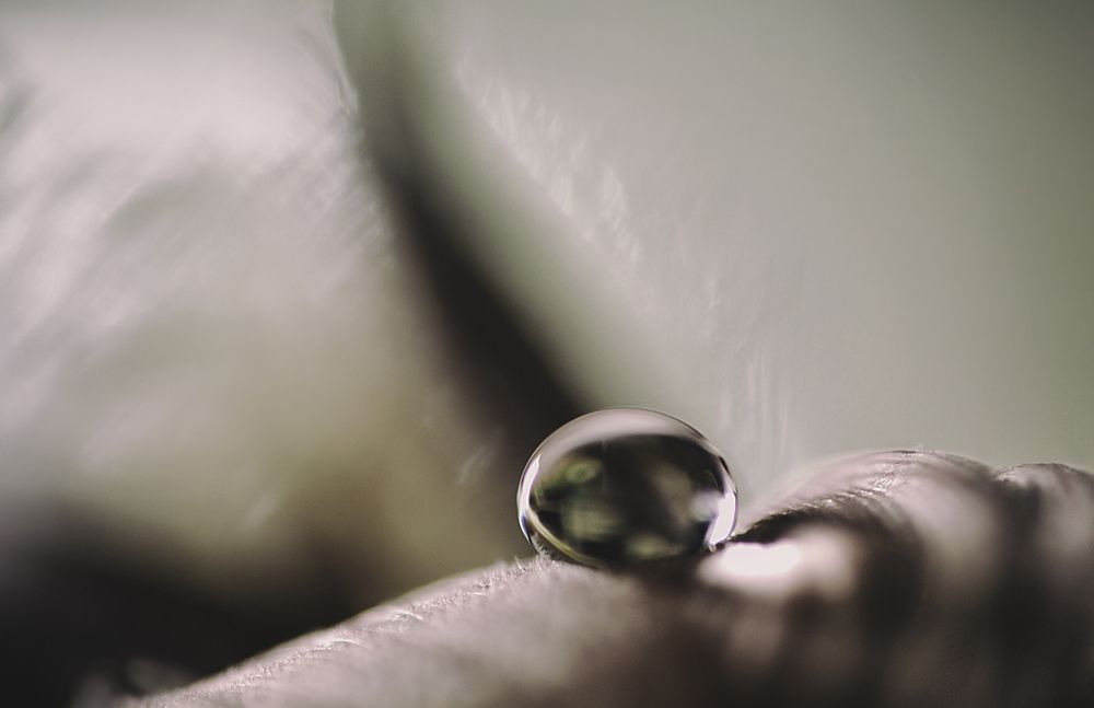 Photograph by Nathalie Verbeken