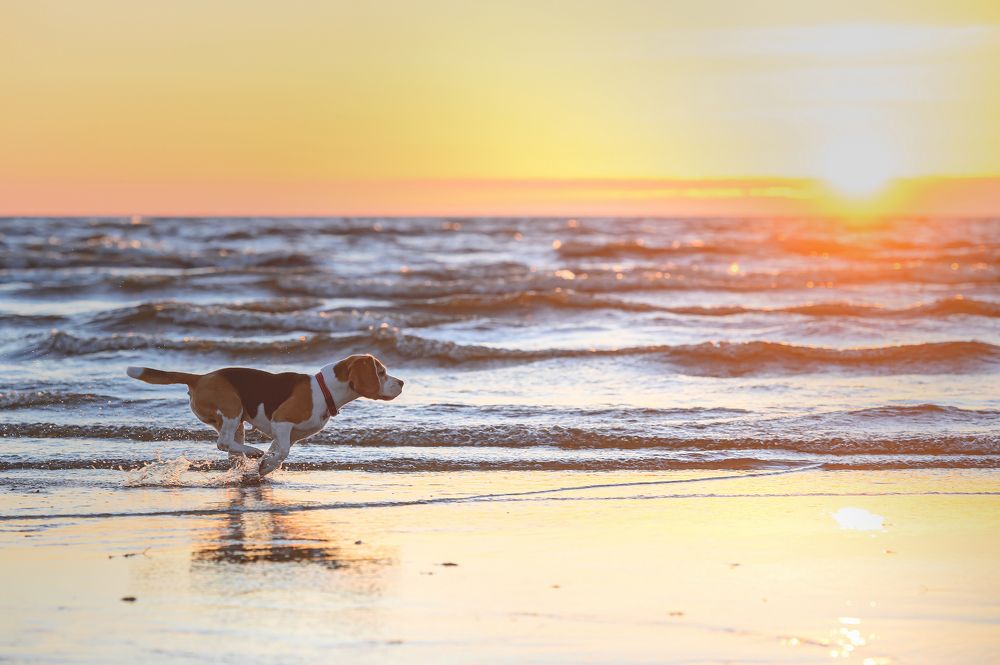 Photograph by Мария Новоселецкая