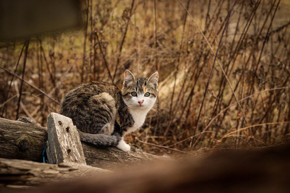 Photograph by Yana Marus
