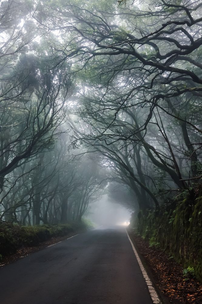 Photograph by Victoria