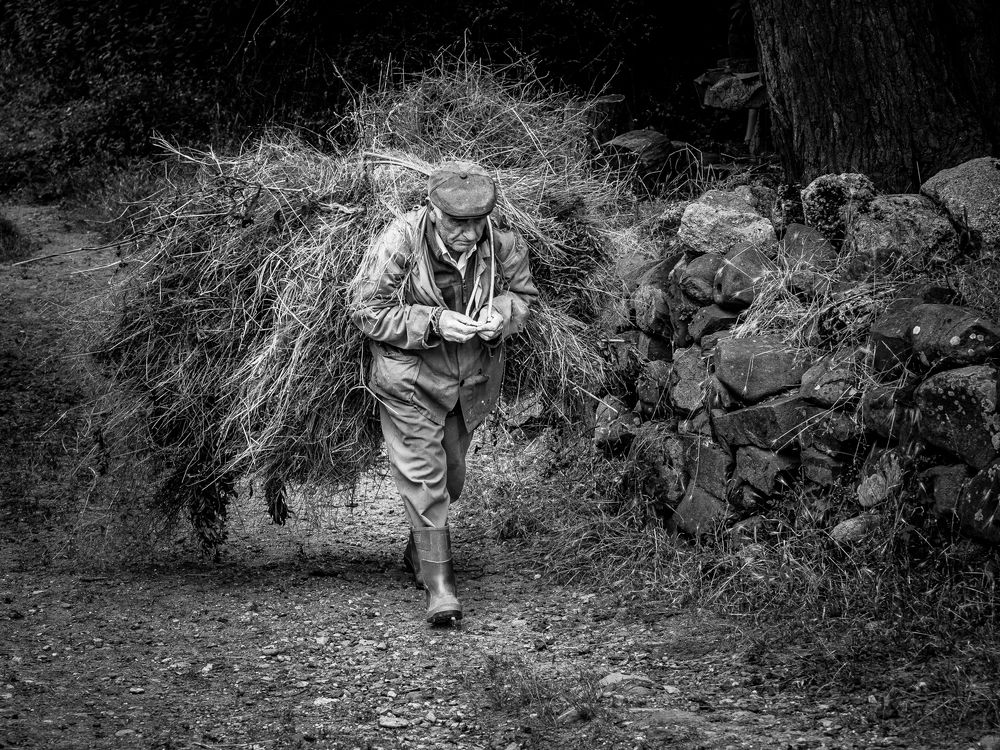 Фотография автора El Karailieva