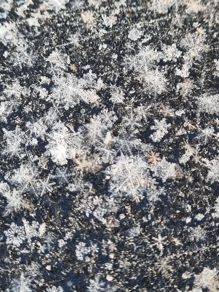 Photograph by Святослава Fujawa