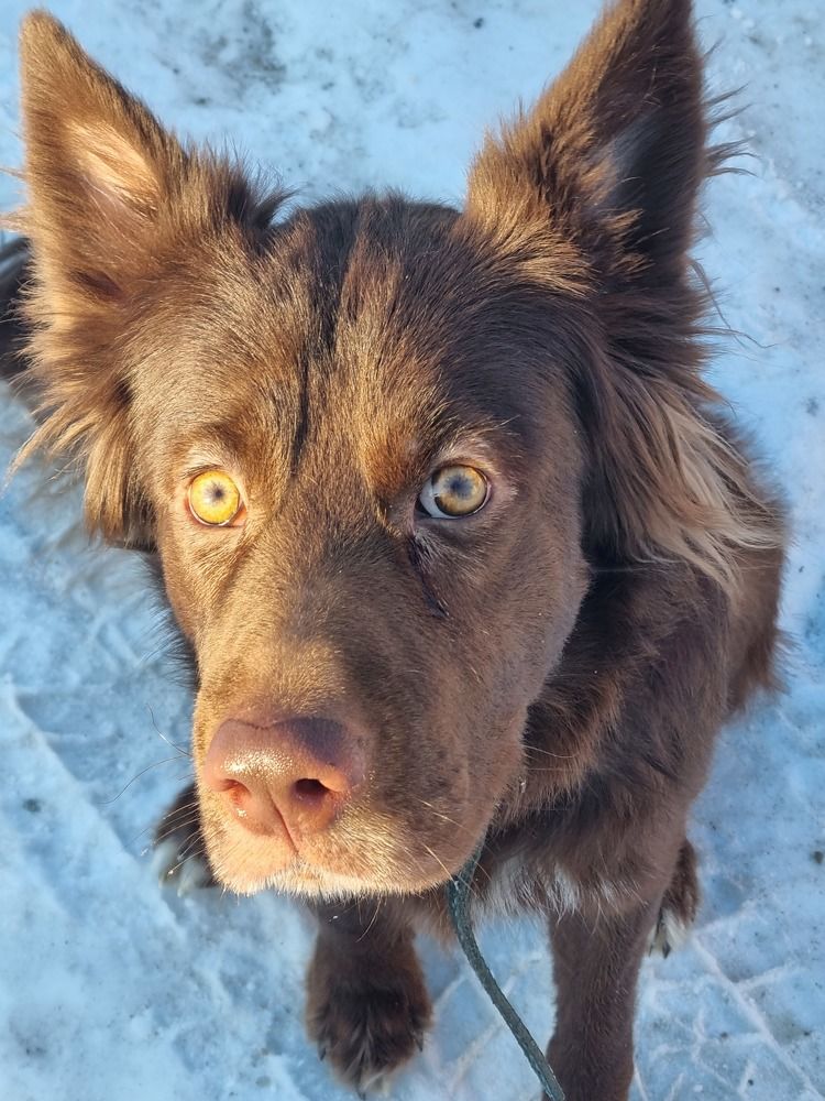 Photograph by Святослава Fujawa