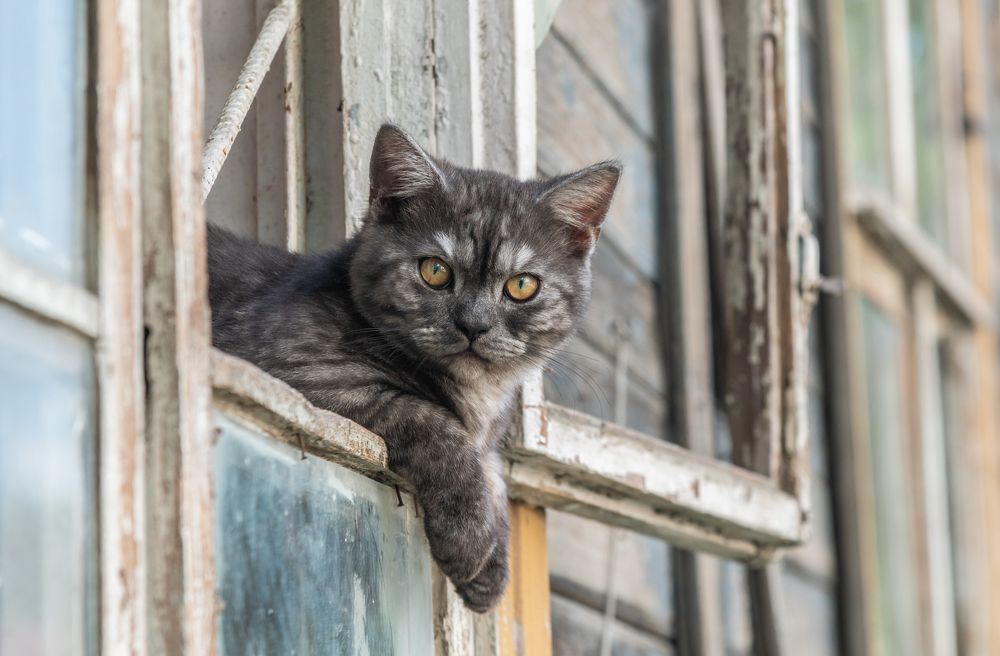 Photograph by Галина Патрушева