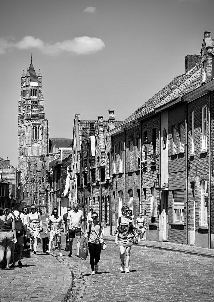 Busy Street in Summer