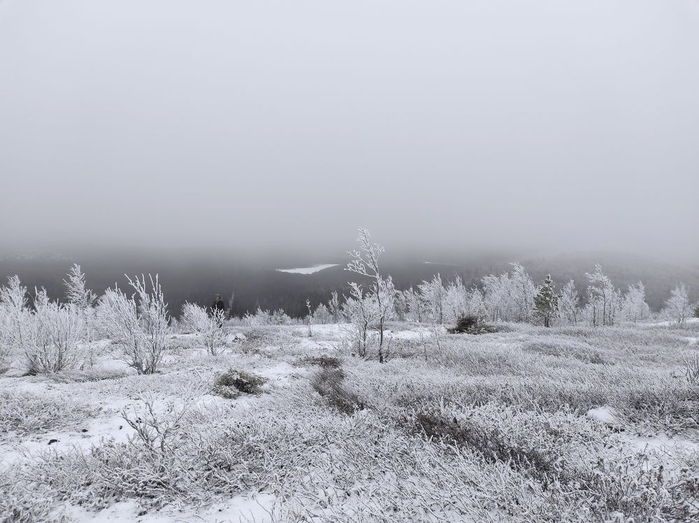 Photograph by Алексей Кириллов