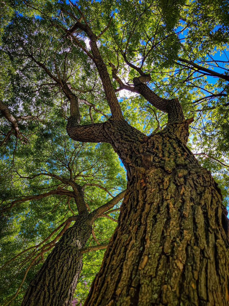 Photograph by Ольга Тюрина