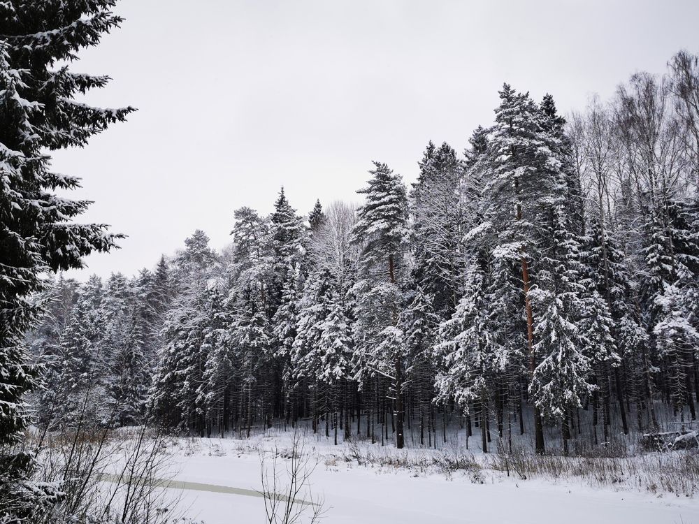 Photograph by Анна