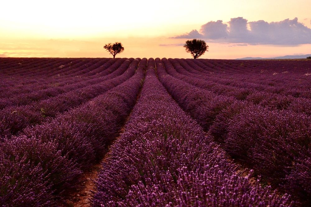 Photograph by Малика Маткарим