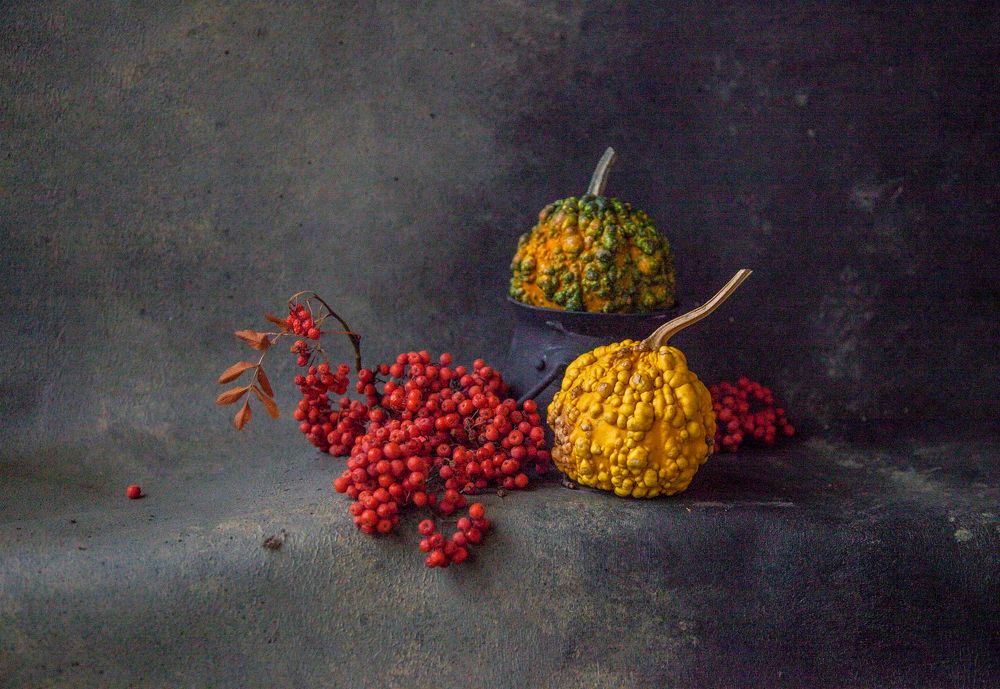 Photograph by Светлана Кавказская