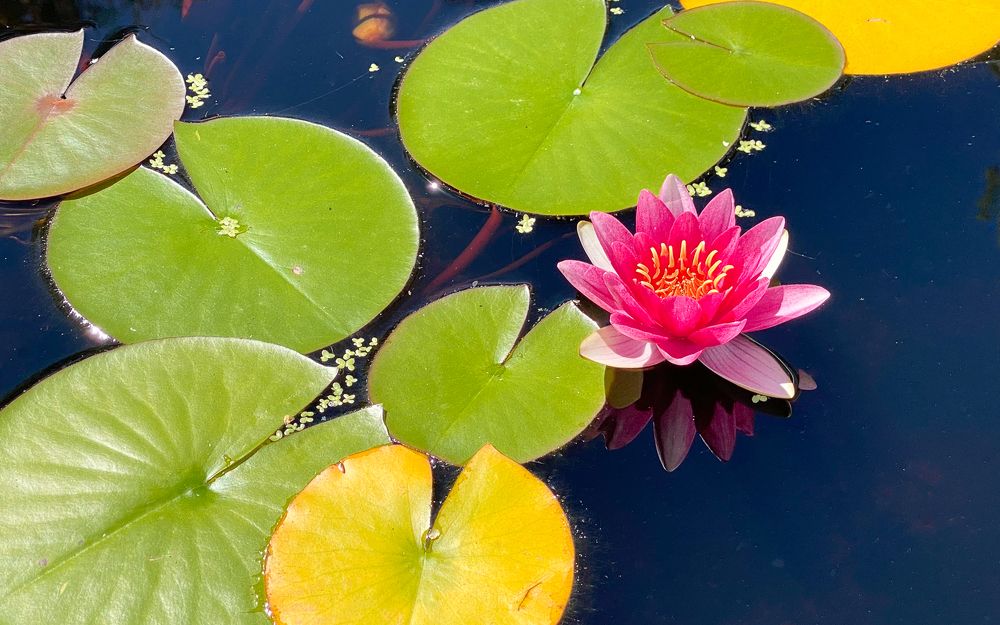 Фотография автора Вадим Жигулин