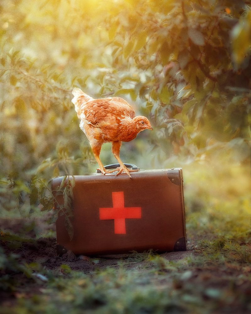 Добрый доктор Айболит