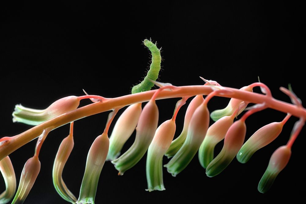 Photograph by Тарасова Ольга