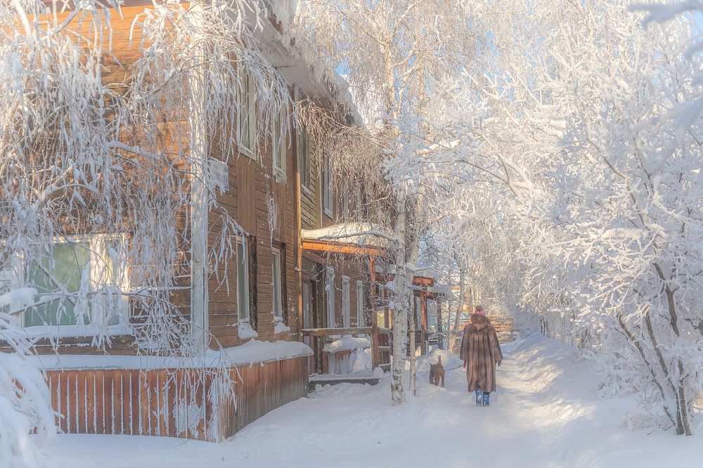 Цвета морозного дворика