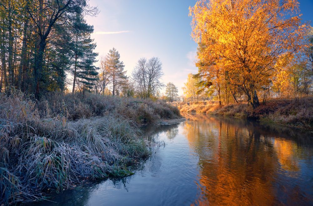 Утренник ...