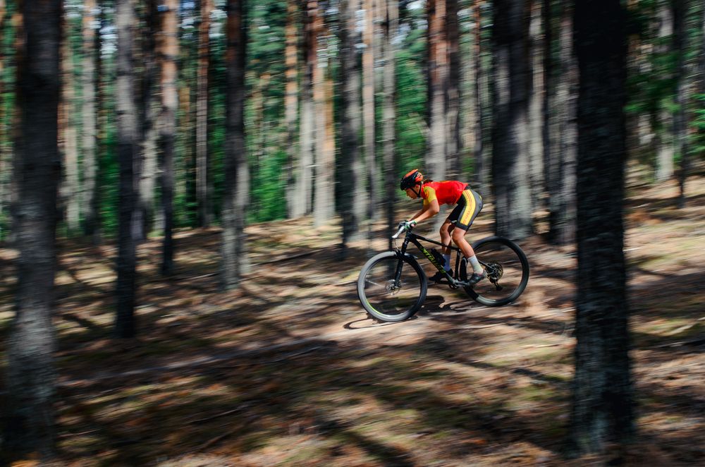 Photograph by Елена Чеснокова