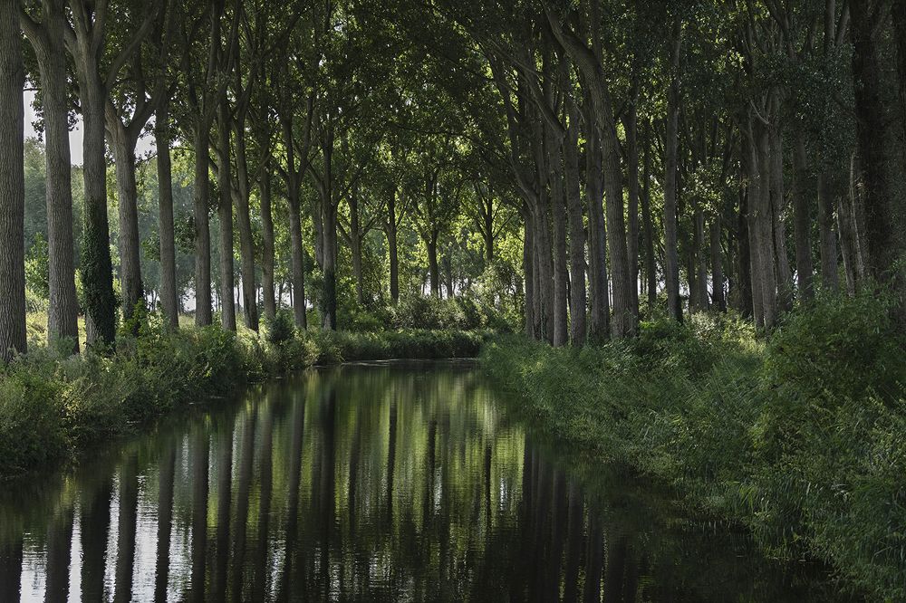 Photograph by Nathalie Verbeken