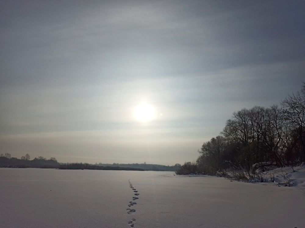 Фотография автора Александр Осинцев