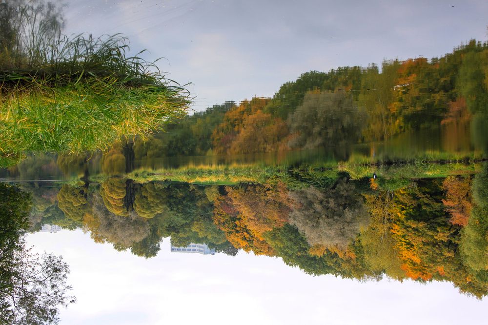 Фотография автора Елена Ку