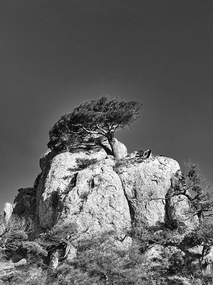 Photograph by Жигульский Сергей