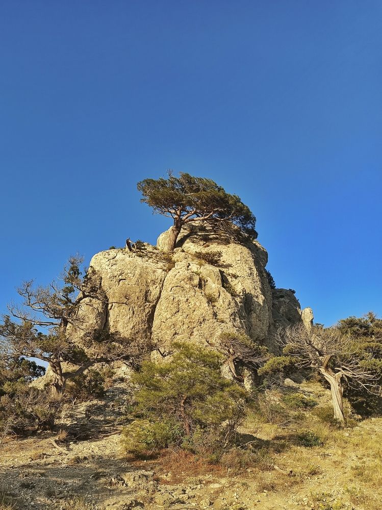 Photograph by Жигульский Сергей