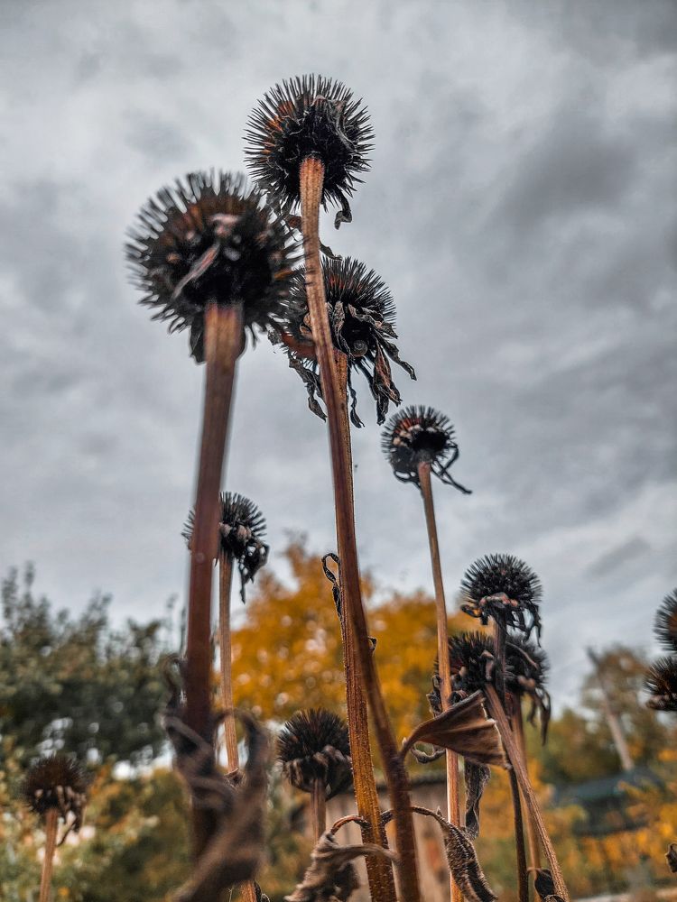 Photograph by Ледок Галина