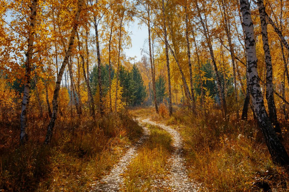 Photograph by Сергей Стукен